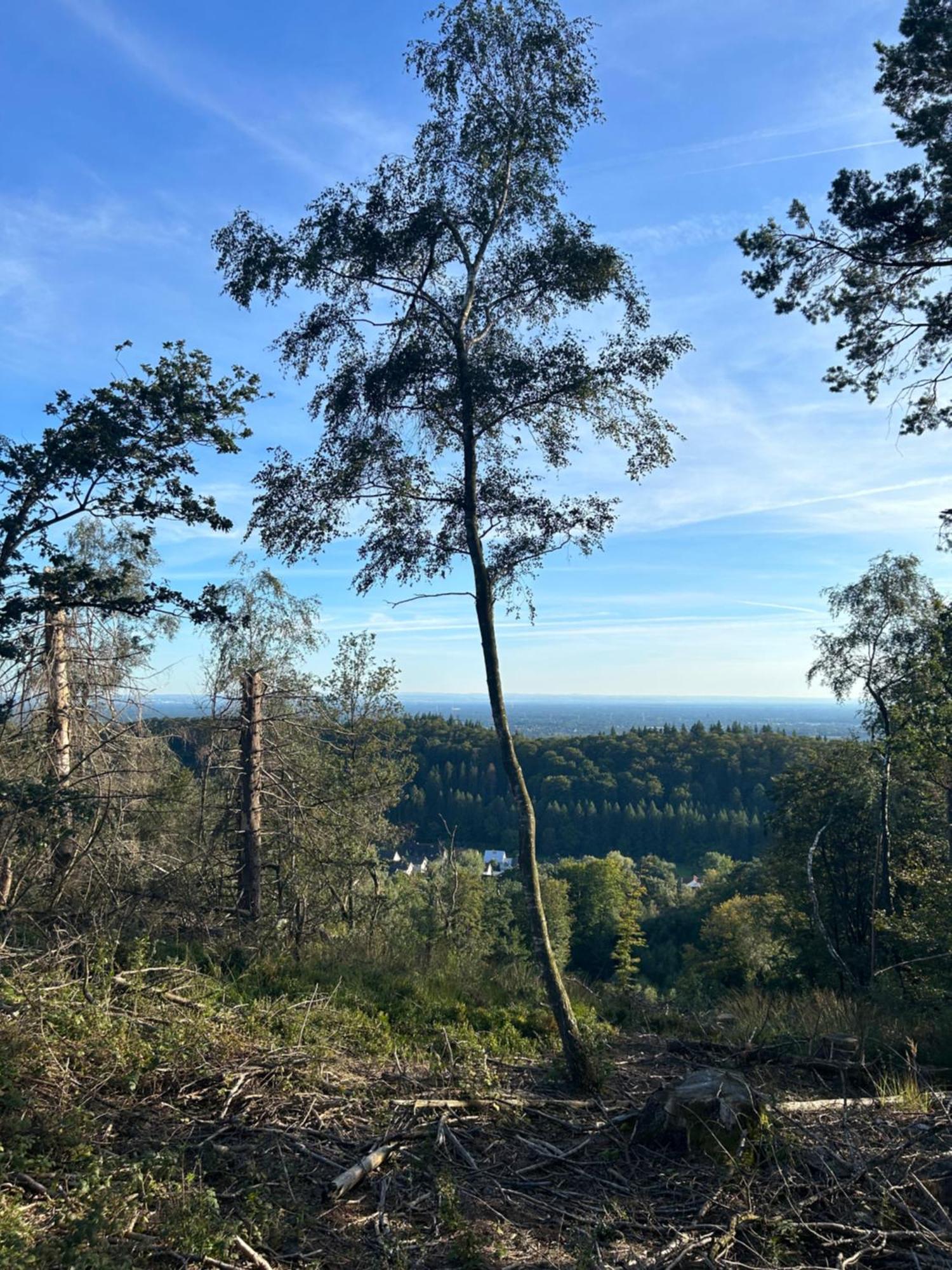 Auszeit Am Toensberg Oerlinghausen Teutoburger Wald Apartment Ngoại thất bức ảnh